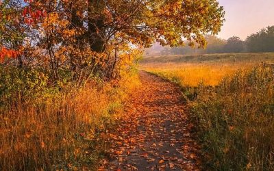 Осінній цикл відкритих лекцій УААП